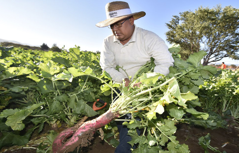 “Oaxaca es un cúmulo de artistas y de tradiciones, basada en el compromiso de resaltar la riqueza cultural del estado y las creaciones de sus ciudadanos”.