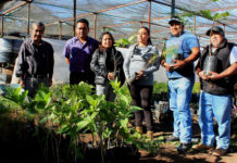 El Gobierno Municipal de Oaxaca de Juárez refrenda su compromiso con el cuidado del medio ambiente en beneficio de la población.