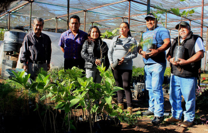 El Gobierno Municipal de Oaxaca de Juárez refrenda su compromiso con el cuidado del medio ambiente en beneficio de la población.