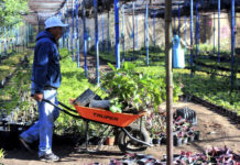 Ubicado en el parque “El Tequio”, en una superficie de 2,200 metros cuadrados, alberga más de 20 mil plantas de 26 diferentes especies.