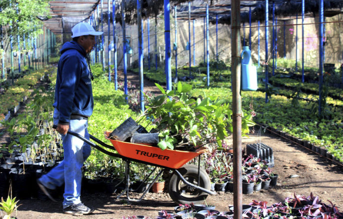 Ubicado en el parque “El Tequio”, en una superficie de 2,200 metros cuadrados, alberga más de 20 mil plantas de 26 diferentes especies.