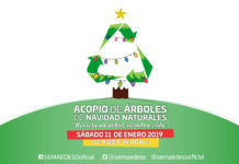 Este sábado 11 de enero con la Coesfo y la FAHHO se realizará la campaña “Recicla un Árbol, Siembra Vida”.