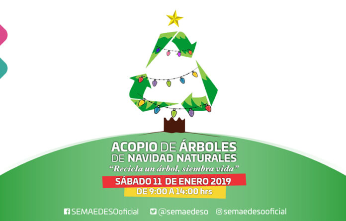 Este sábado 11 de enero con la Coesfo y la FAHHO se realizará la campaña “Recicla un Árbol, Siembra Vida”.