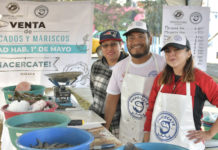 En apoyo a la economía de las y los capitalinos, del 28 de febrero al 10 de abril, el Ayuntamiento de Oaxaca de Juárez estará acercando productos del mar de calidad, a precios justos y con peso exacto.