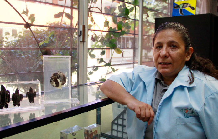 La Directora de Investigación de la UABJO, Gisela Fuentes Mascorro.