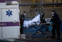 Paramédicos trasladan a paciente con Covid-19 a la sala de emergencias del Centro Médico Langone de la Universidad de Nueva York. Foto Xinhua.