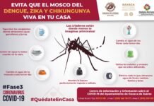 Elimina posibles criaderos de los mosquitos transmisores del dengue, zika y chikungunya.