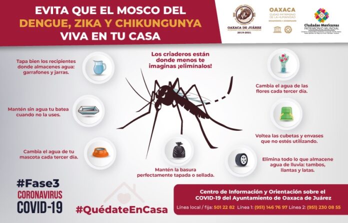 Elimina posibles criaderos de los mosquitos transmisores del dengue, zika y chikungunya.