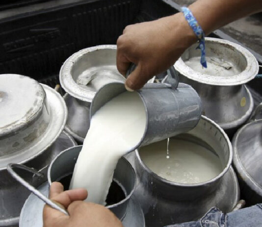 Los productores acusan a Liconsa o Segalmex de corrupción. Foto Cuartoscuro/Archivo.