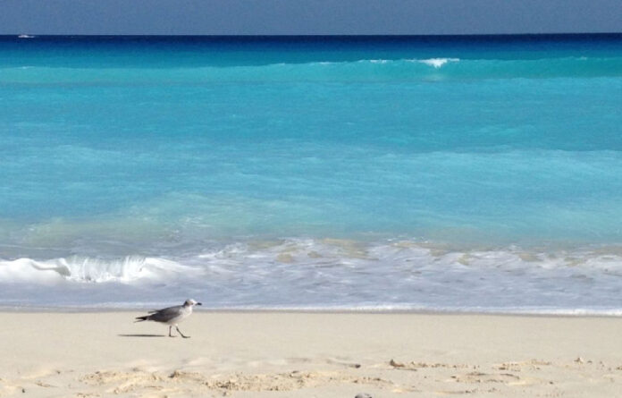 Playa Marlin, Cancún foto tomada de portal La verdad.