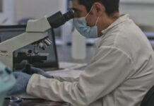 Investigadores de la Escuela Nacional de Ciencias Biológicas del Instituto Politécnico Nacional analizan pruebas contra el coronavirus. Foto Marco Peláez.