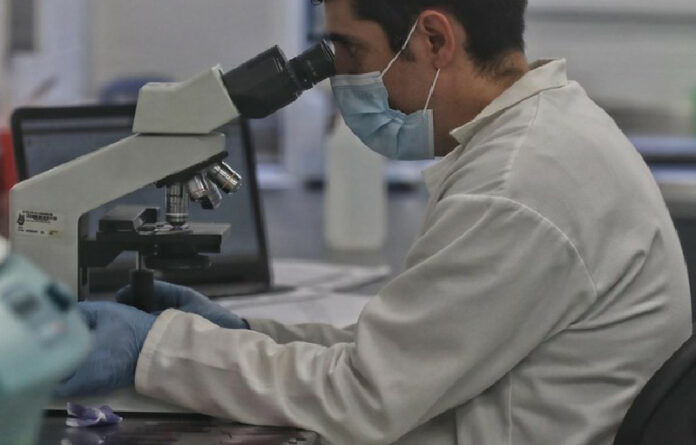 Investigadores de la Escuela Nacional de Ciencias Biológicas del Instituto Politécnico Nacional analizan pruebas contra el coronavirus. Foto Marco Peláez.