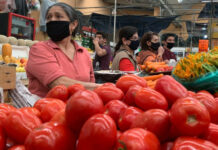 La contracción mundial, la baja en el turismo, el descenso en los precios de petróleo y las medidas de confinamiento llevarán a que la tasa de desempleo avance a 6 por ciento, señaló la OCDE. La imagen, en el mercado Medellín, en la colonia Roma. Foto María Luisa Severiano.