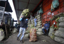 En Colombia, un hombre carga maíz en el mercado Corabastos, uno de los más grandes centros de abasto de alimentos en América Latina. Foto Ap.