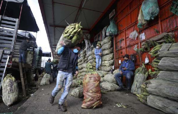 En Colombia, un hombre carga maíz en el mercado Corabastos, uno de los más grandes centros de abasto de alimentos en América Latina. Foto Ap.