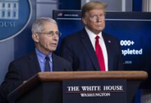 Donald Trump, presidente de EU y Anthony Fauci, director del Instituto Nacional de Alergia y Enfermedades Infecciosas. Foto Ap.