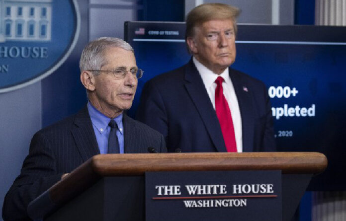 Donald Trump, presidente de EU y Anthony Fauci, director del Instituto Nacional de Alergia y Enfermedades Infecciosas. Foto Ap.