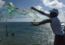 Un pescador en Puerto Morelos, Quintana Roo. Foto Cuartoscuro/ archivo.