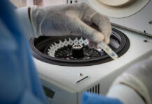 Un técnico de laboratorio procesa muestras para analizar el nuevo coronavirus COVID-19. Foto Afp.