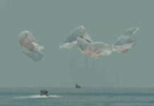 En esta captura de NASA TV, la cápsula SpaceX ameriza este domingo en el Golfo de México. Foto Ap.