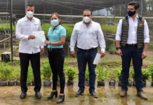 El objetivo es reforestar cuencas y microcuencas, ecosistemas degradados y terrenos forestales.