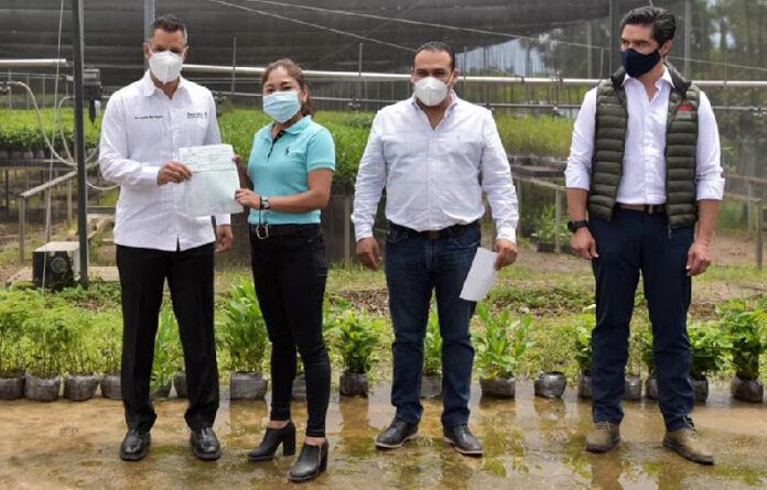 El objetivo es reforestar cuencas y microcuencas, ecosistemas degradados y terrenos forestales.