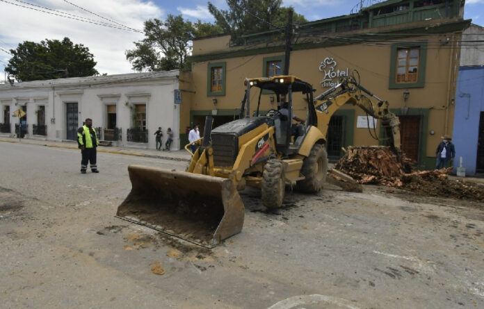 La Subdirección de Protección Civil, en coordinación con diversas instancias municipales, realizó los trabajos en la calzada Madero.