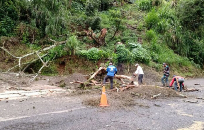 La Secretaría de la Defensa Nacional activó el Plan DN-III-E en las zonas afectadas. Foto cortesía PC Veracruz.