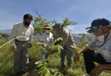 El Gobierno citadino, a través de la regiduría de Gobierno y Espectáculos y de Medio Ambiente y Recursos Naturales, refrenda su compromiso con el cuidado del medio ambiente en beneficio de la población.