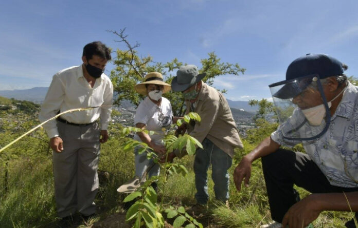 El Gobierno citadino, a través de la regiduría de Gobierno y Espectáculos y de Medio Ambiente y Recursos Naturales, refrenda su compromiso con el cuidado del medio ambiente en beneficio de la población.