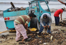 Como parte del Programa Emergente de Empleo Temporal se contrató a 24 personas para tareas de limpieza en playas de Bahía de Banderas. Foto La Jornada.
