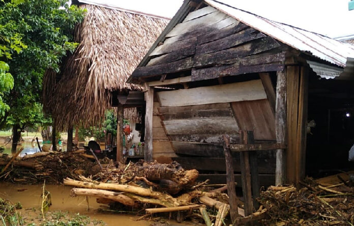 En la zona se ha alertado a la comunidad de Valle Nacional, Santa María Jacatepec y Chiltepec, ya que el río Valle Nacional presenta un incremento considerable en su nivel, generado por las precipitaciones pluviales.