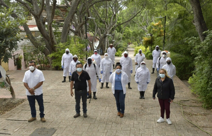 La Coordinación Ejecutiva del Centro Histórico ha realizado 369 intervenciones en parques y jardines, hospitales, instituciones bancarias y comercios establecidos.