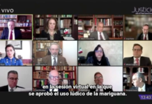 Obligan a la Secretaría de Salud y a la Comisión Federal para la Protección Contra Riesgos Sanitarios (Cofepris), a emitir regulaciones que faciliten el uso recreativo del Cannabis.