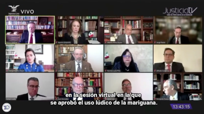 Obligan a la Secretaría de Salud y a la Comisión Federal para la Protección Contra Riesgos Sanitarios (Cofepris), a emitir regulaciones que faciliten el uso recreativo del Cannabis.