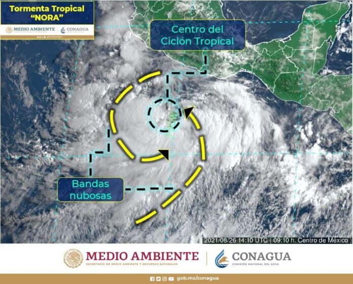 Tormenta tropical